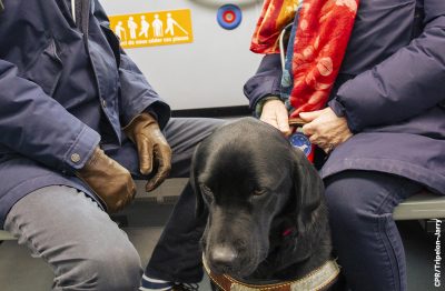 Webin'Access 2 : les startups au service de l'accessibilité touristique - 2026