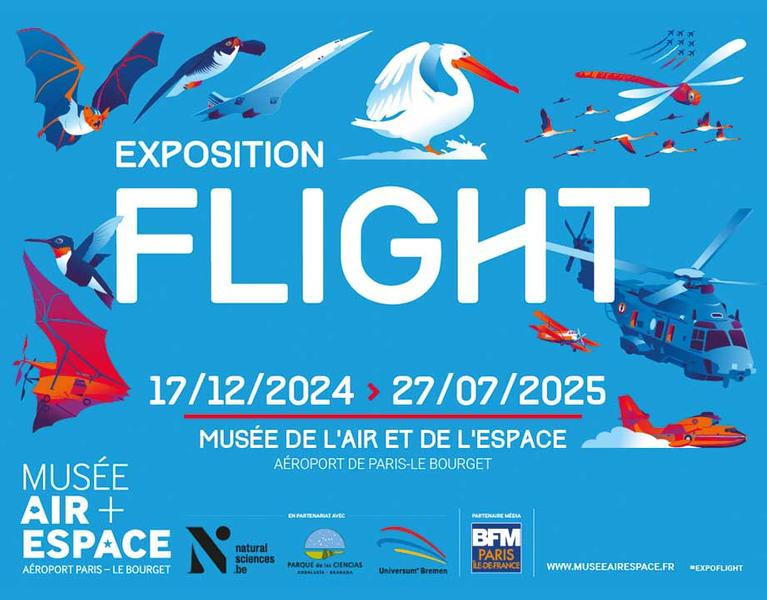 Exposition - Flight