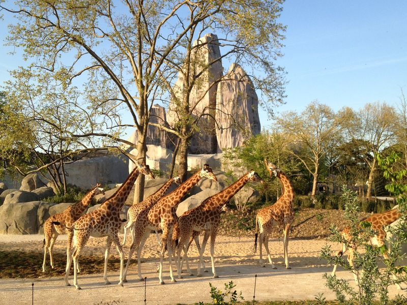 Zoological Park of Paris
