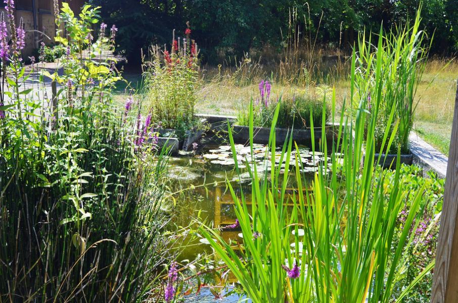 Conservatoire des Plantes