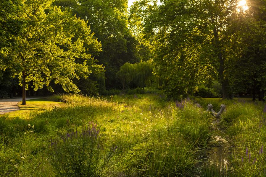 La rivière Yerres