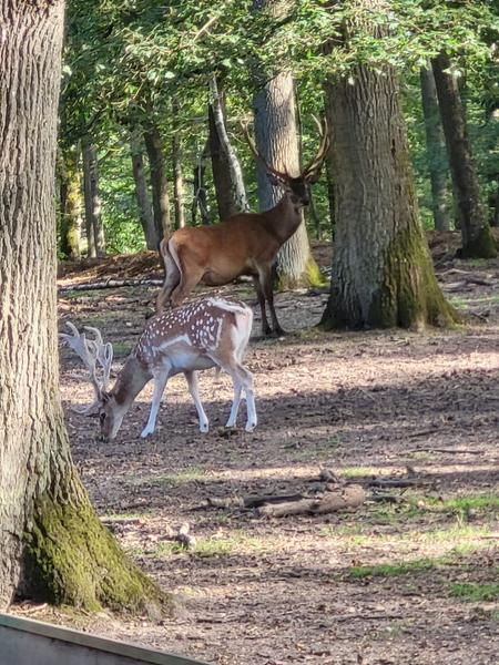 Espace Rambouillet_Sonchamp