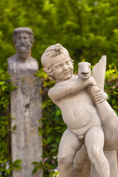 L'enfant à l'oie