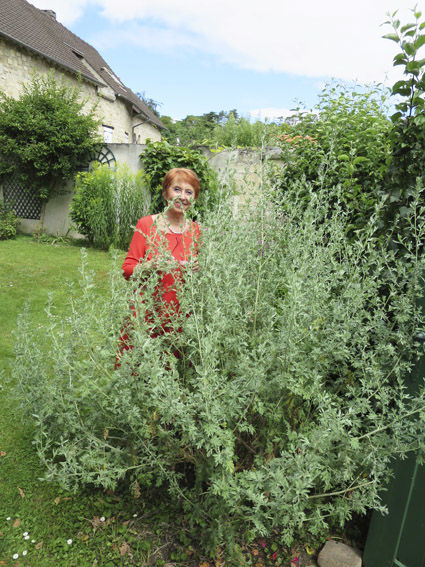 Marie-Claude et la grande absinthe