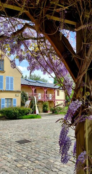 Musée Fournaise