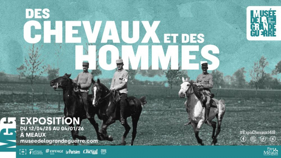 Des chevaux et des hommes