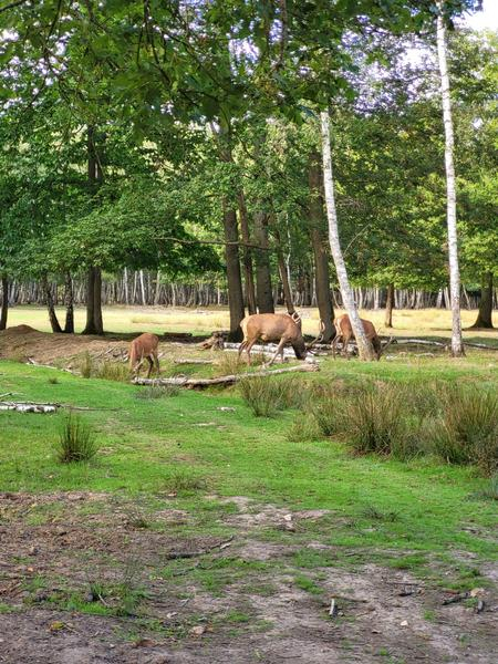 Espace Rambouillet_Sonchamp