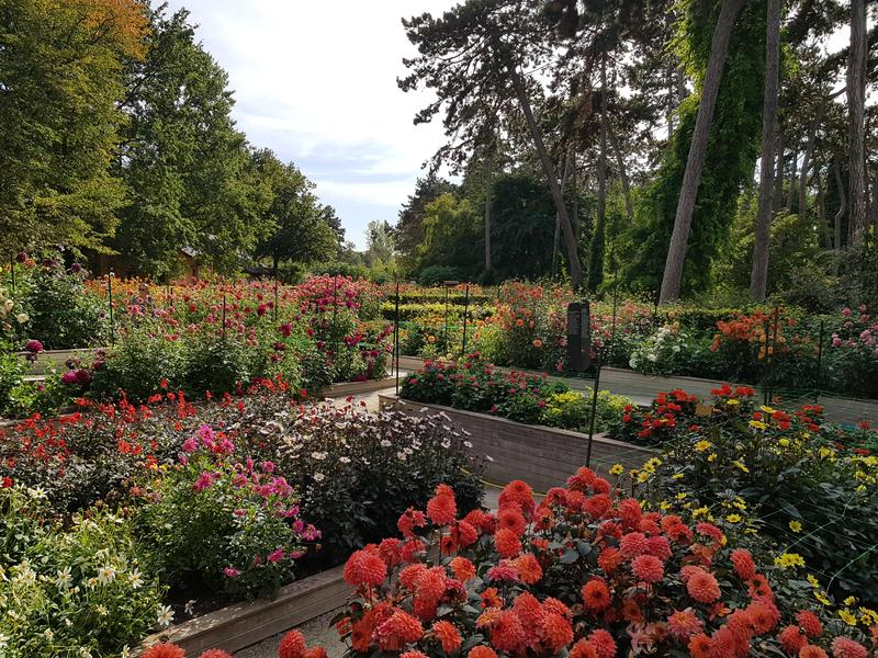 Parc Floral_2