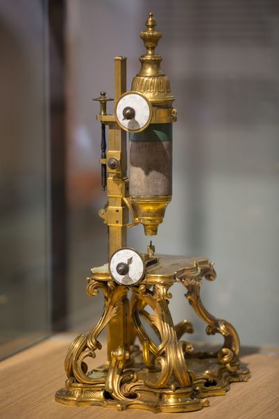 Microscope de Magny