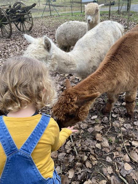 Malowe Nature, ferme pédagogique_Rosay