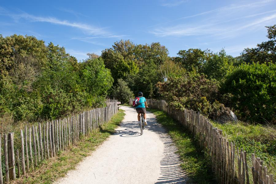allée de l'éco-parc des carrières