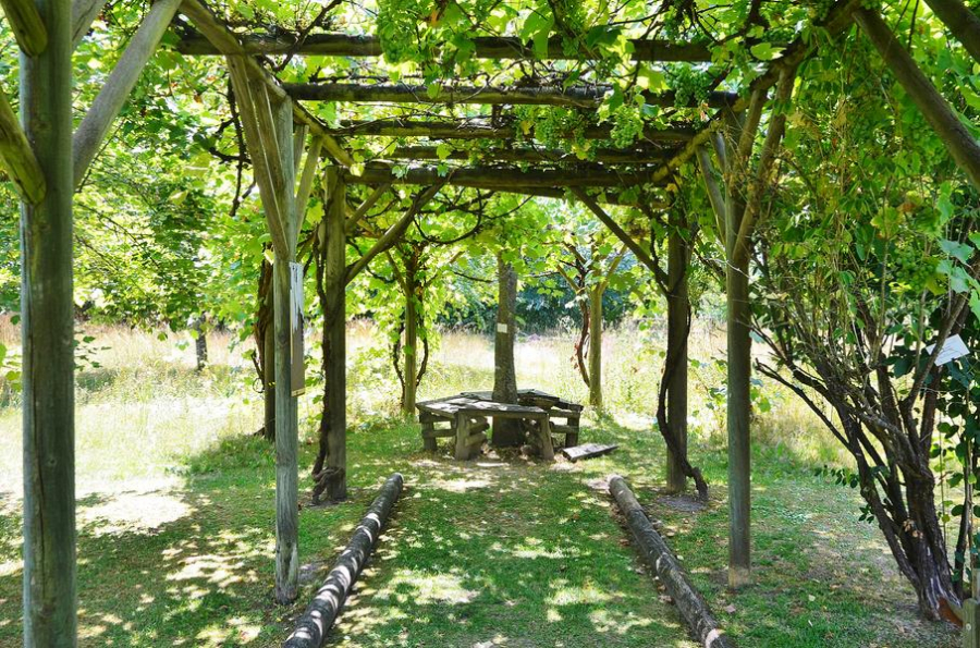 Conservatoire des Plantes