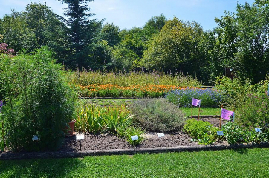 Conservatoire des Plantes