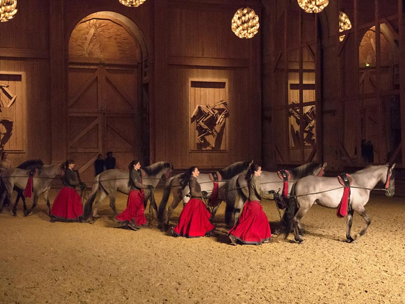 Equestrian Academy of Versailles